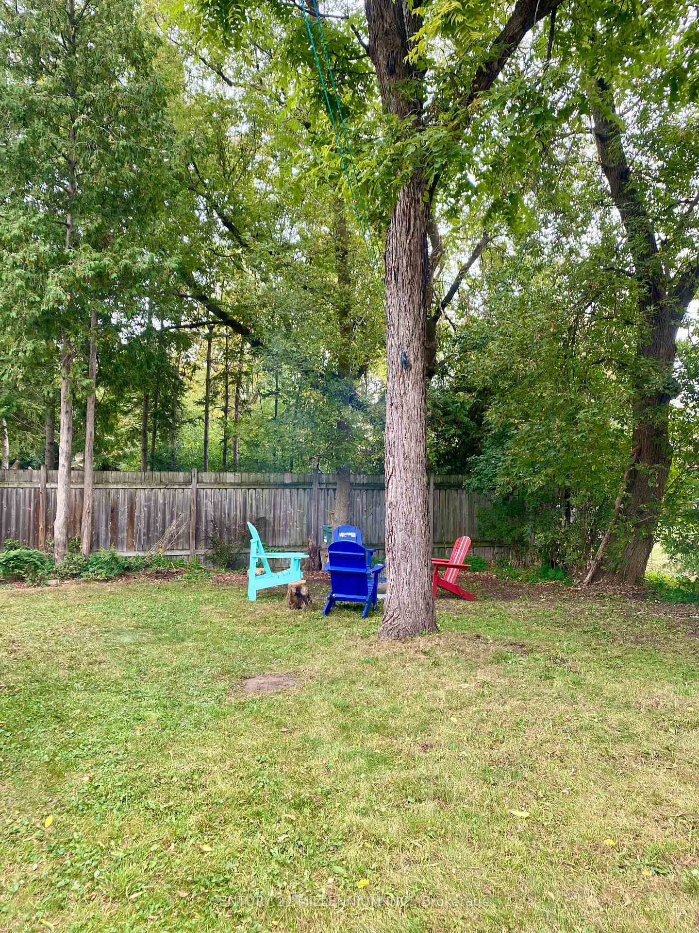Photo 18 of 39 Stevenson Street, Guelph, St. George's — HOMEH