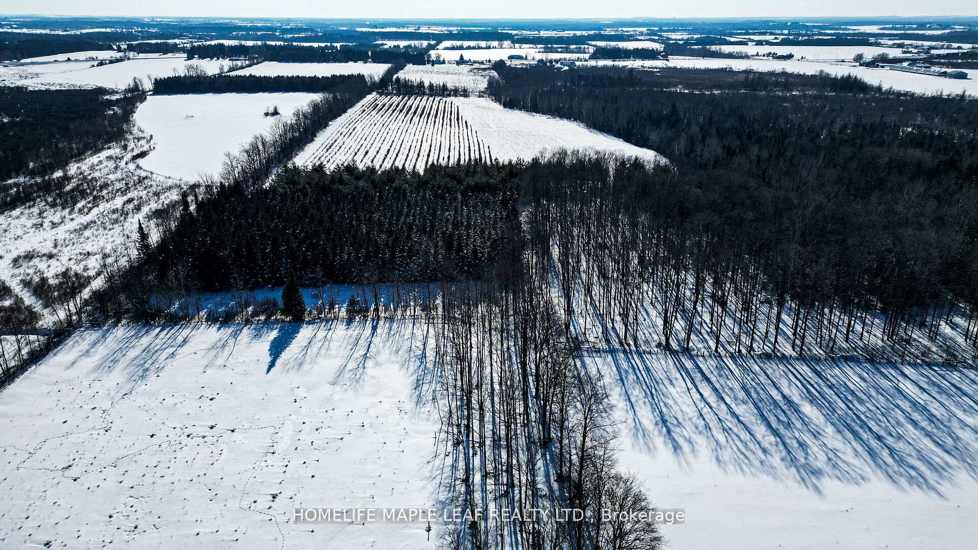 Photo 28 of 773093 Highway 10, Grey Highlands — HOMEH