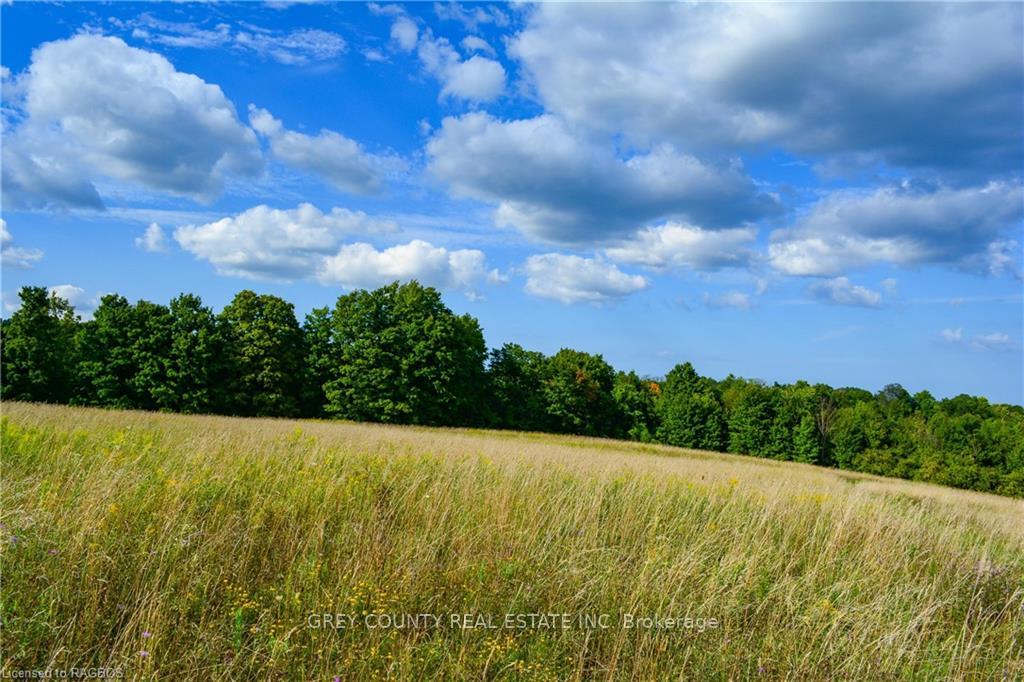 Photo 6 of 3RD Line C, Grey Highlands — HOMEH