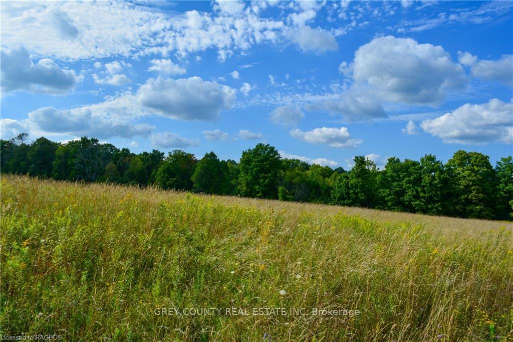 Photo 7 of 3RD Line C, Grey Highlands — HOMEH