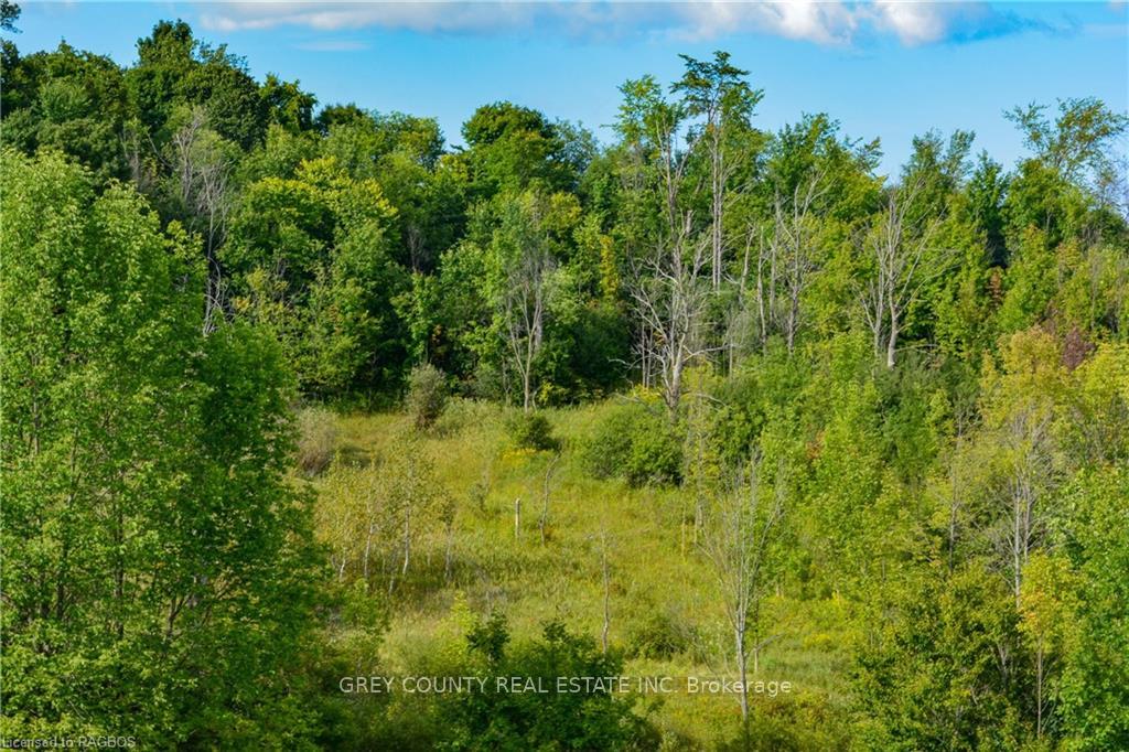 Photo 25 of 3RD Line C, Grey Highlands — HOMEH