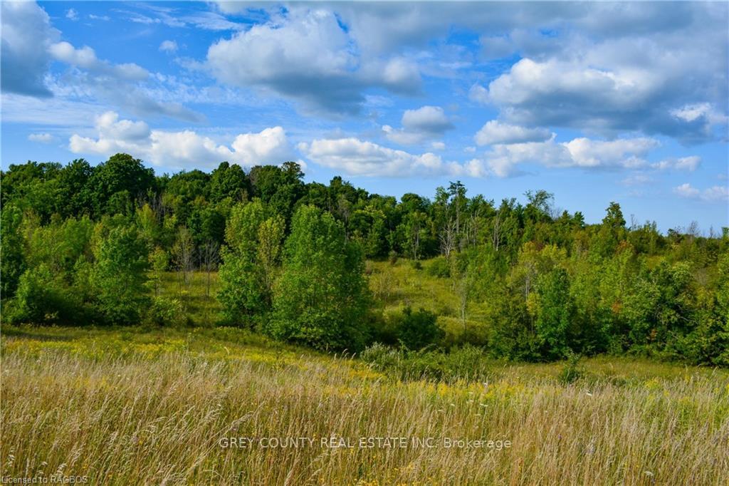 Photo 26 of 3RD Line C, Grey Highlands — HOMEH