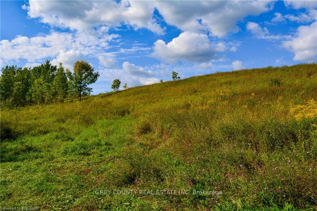 Photo 32 of 3RD Line C, Grey Highlands — HOMEH