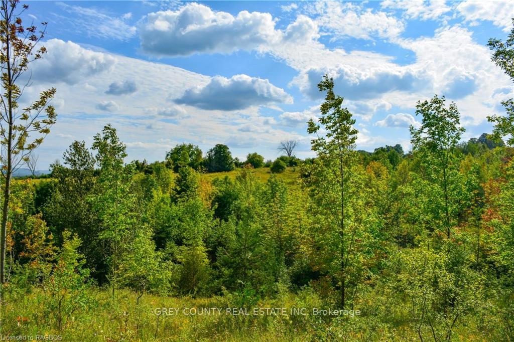 Photo 35 of 3RD Line C, Grey Highlands — HOMEH