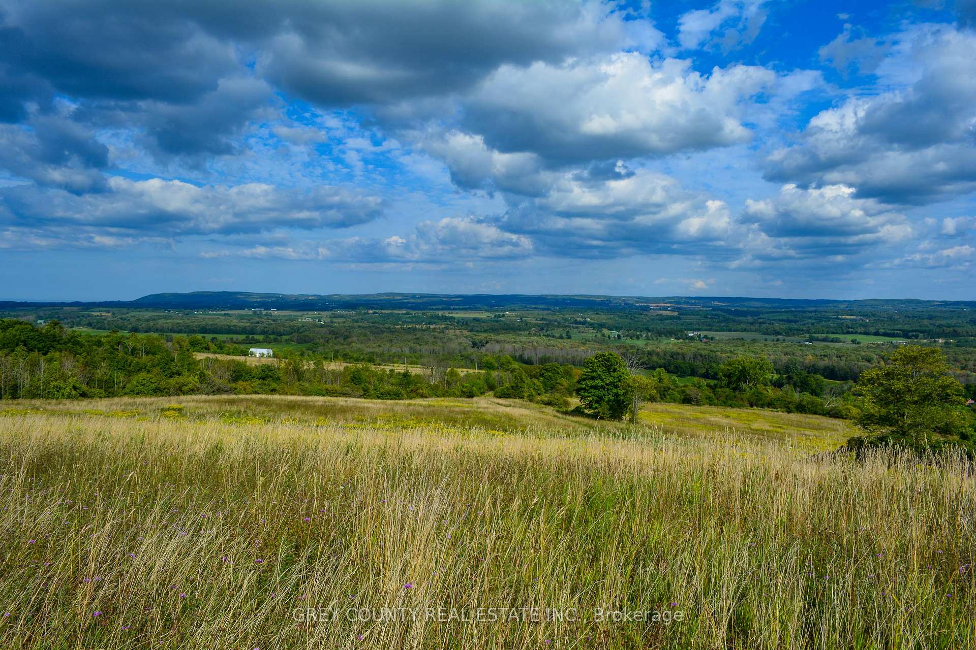 Photo 4 of Pt Lt 21 3RD Line C, Grey Highlands — HOMEH