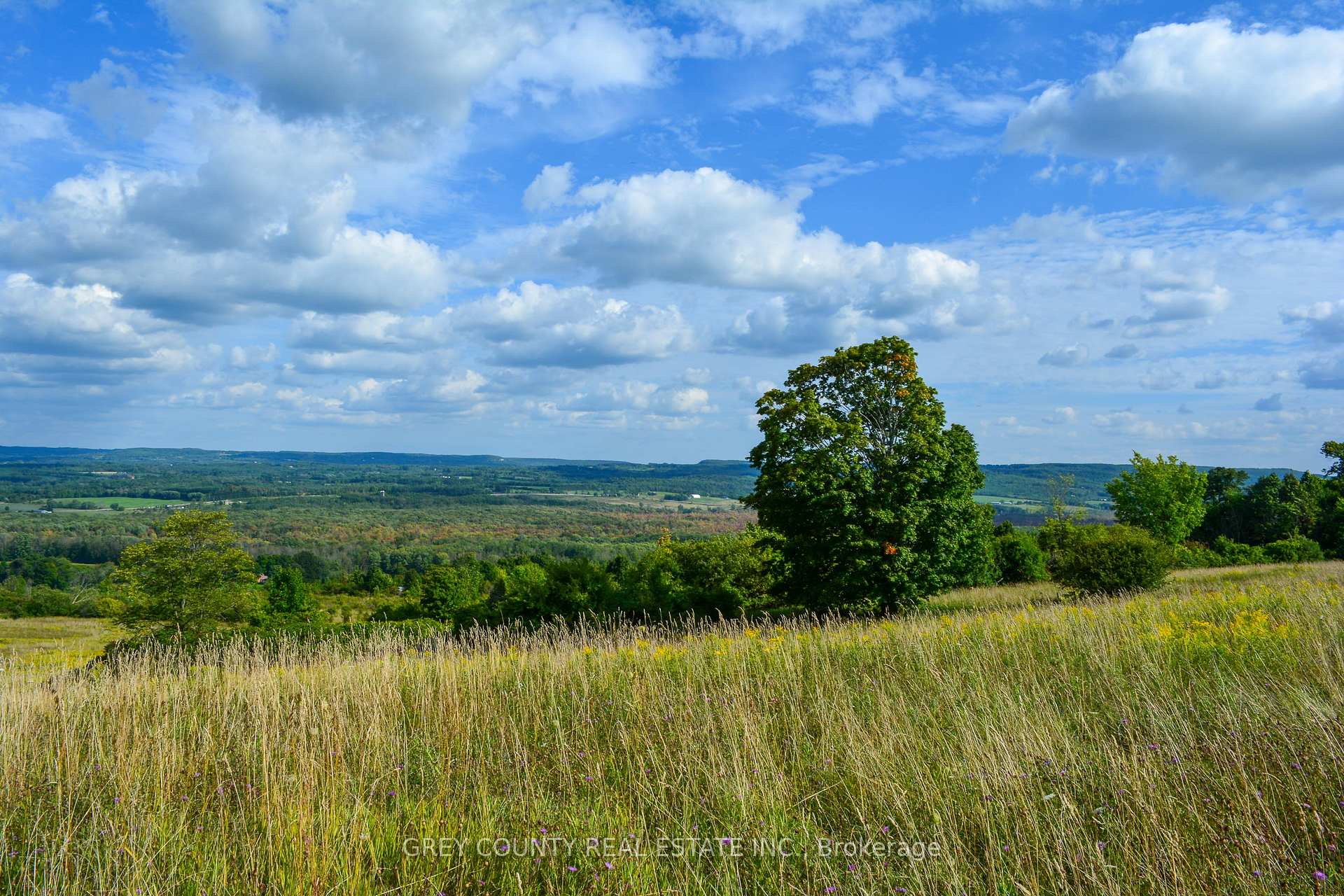 Photo 5 of Pt Lt 21 3RD Line C, Grey Highlands — HOMEH