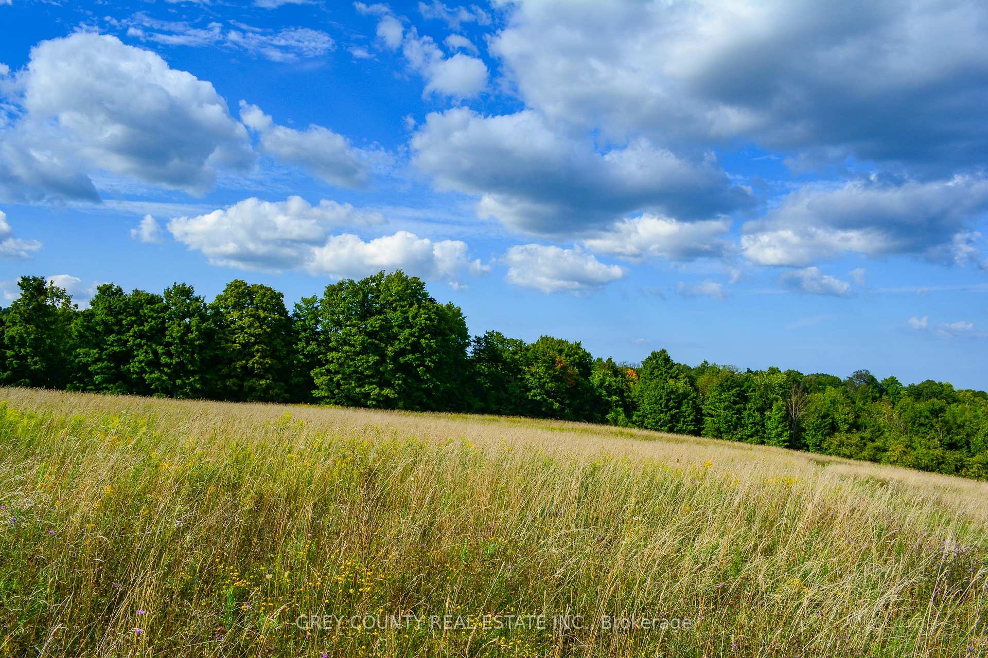 Photo 6 of Pt Lt 21 3RD Line C, Grey Highlands — HOMEH