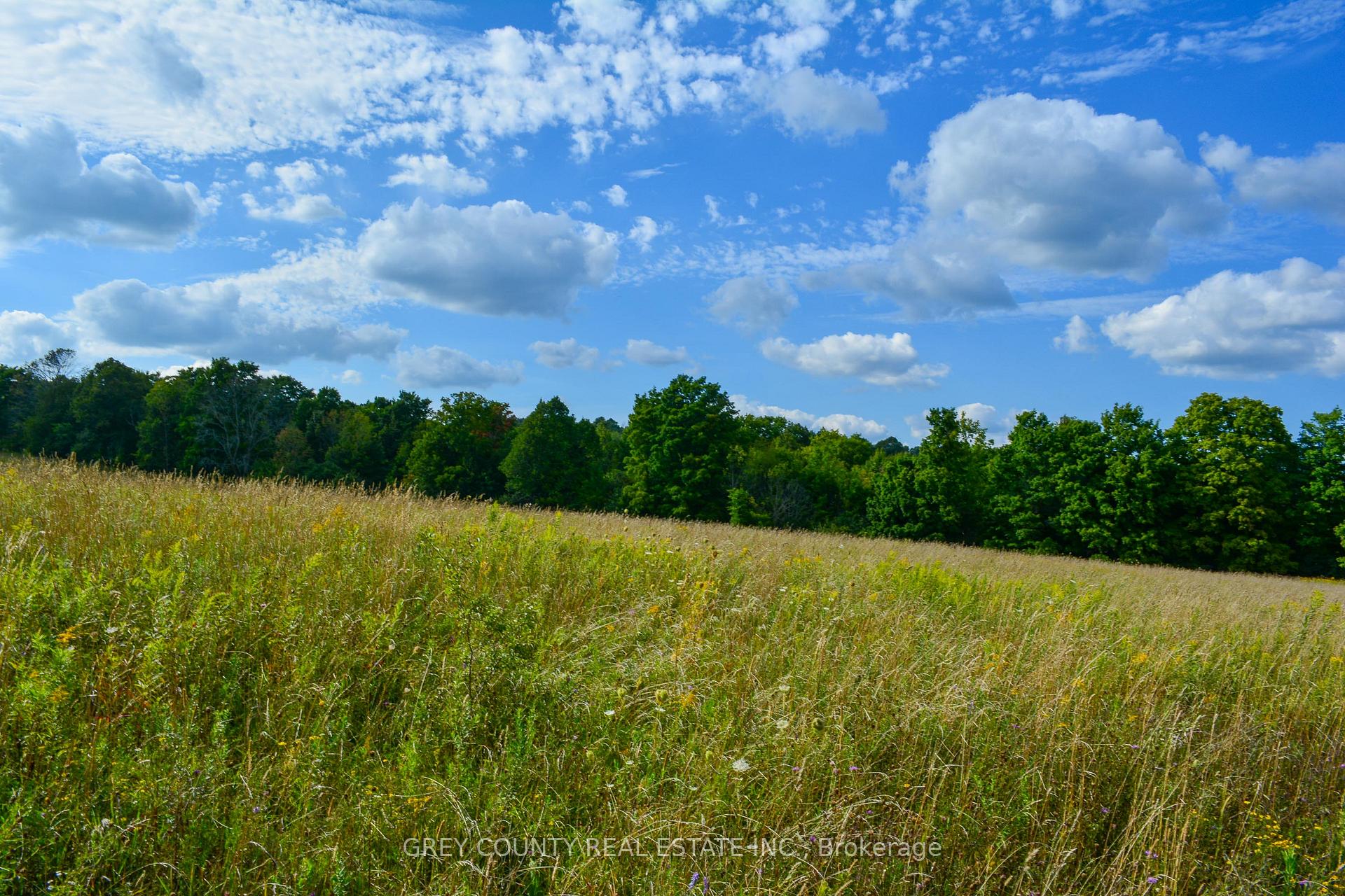 Photo 7 of Pt Lt 21 3RD Line C, Grey Highlands — HOMEH