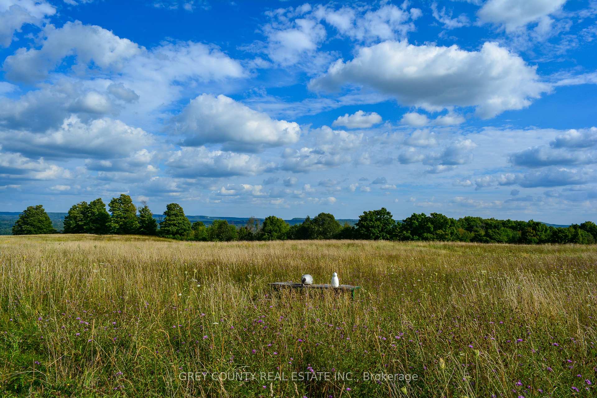 Photo 9 of Pt Lt 21 3RD Line C, Grey Highlands — HOMEH
