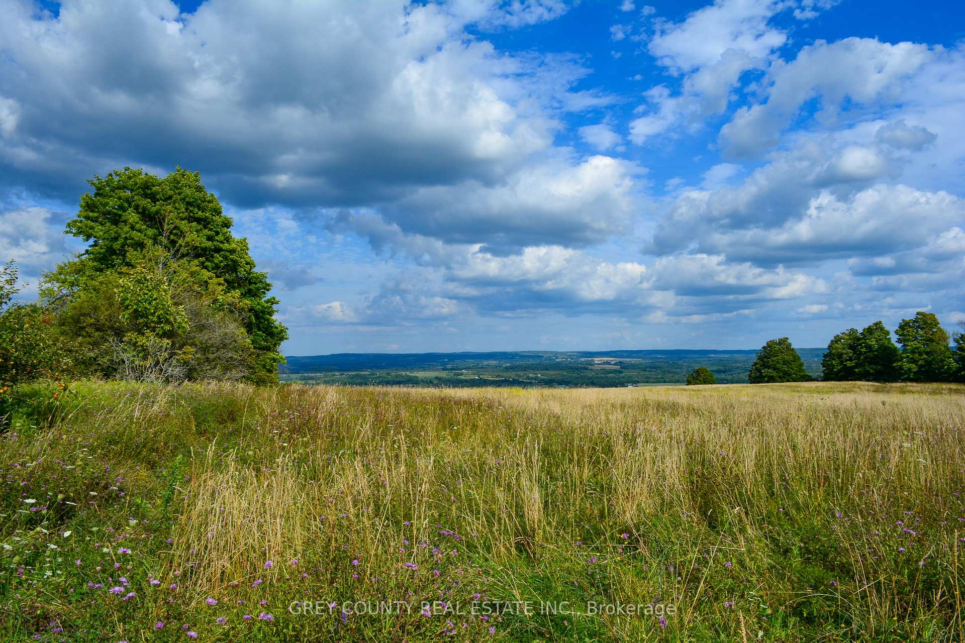 Photo 10 of Pt Lt 21 3RD Line C, Grey Highlands — HOMEH