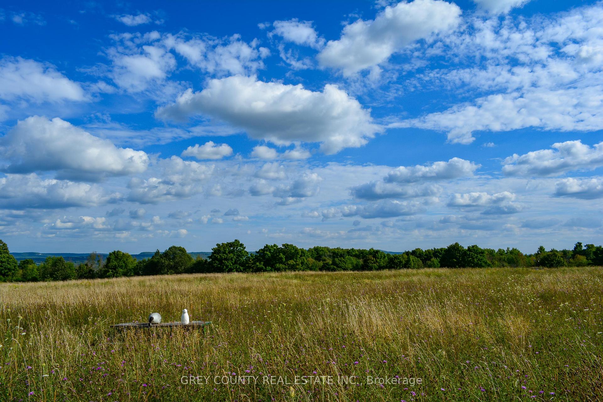 Photo 11 of Pt Lt 21 3RD Line C, Grey Highlands — HOMEH