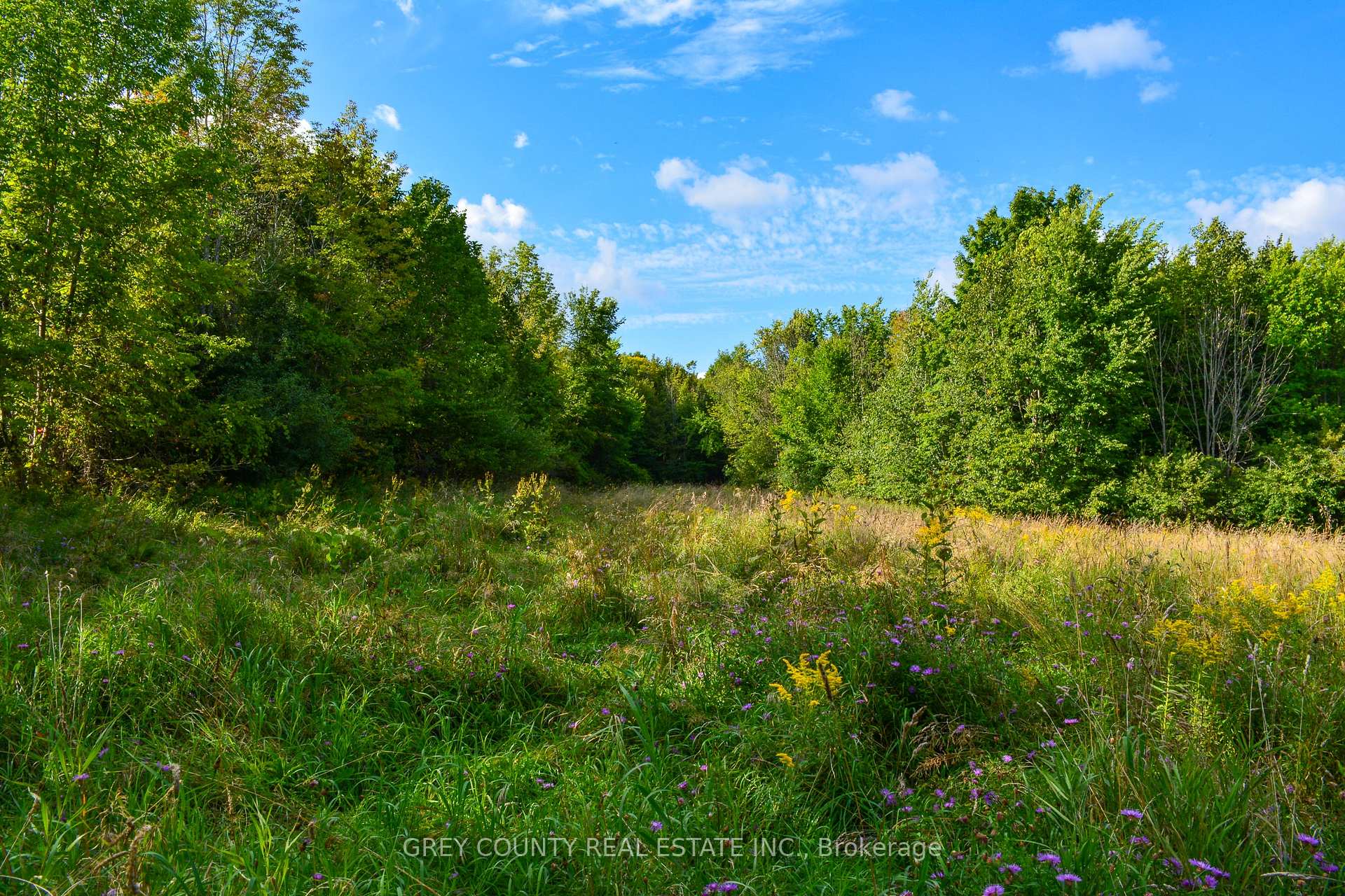 Photo 17 of Pt Lt 21 3RD Line C, Grey Highlands — HOMEH
