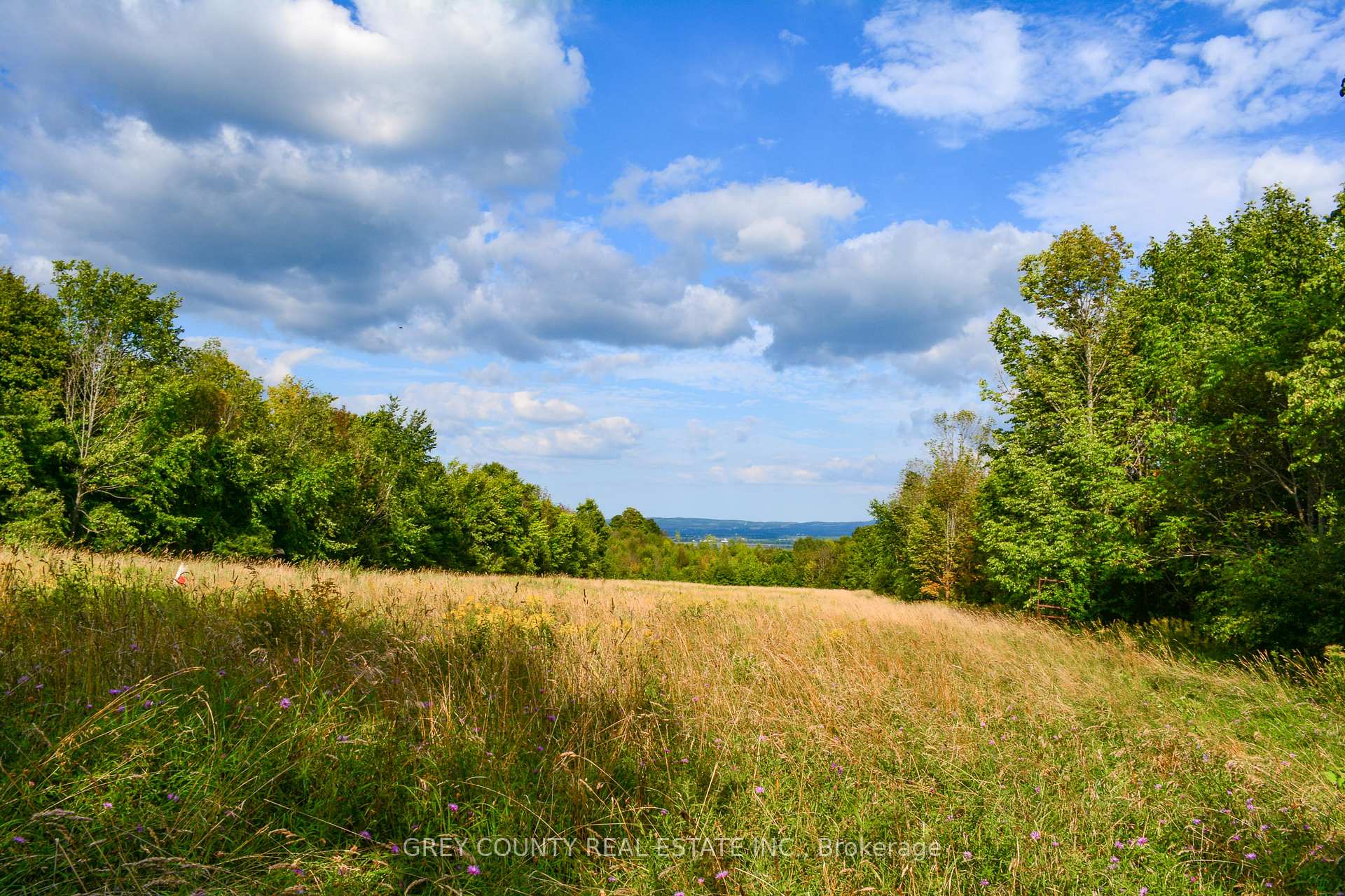 Photo 18 of Pt Lt 21 3RD Line C, Grey Highlands — HOMEH