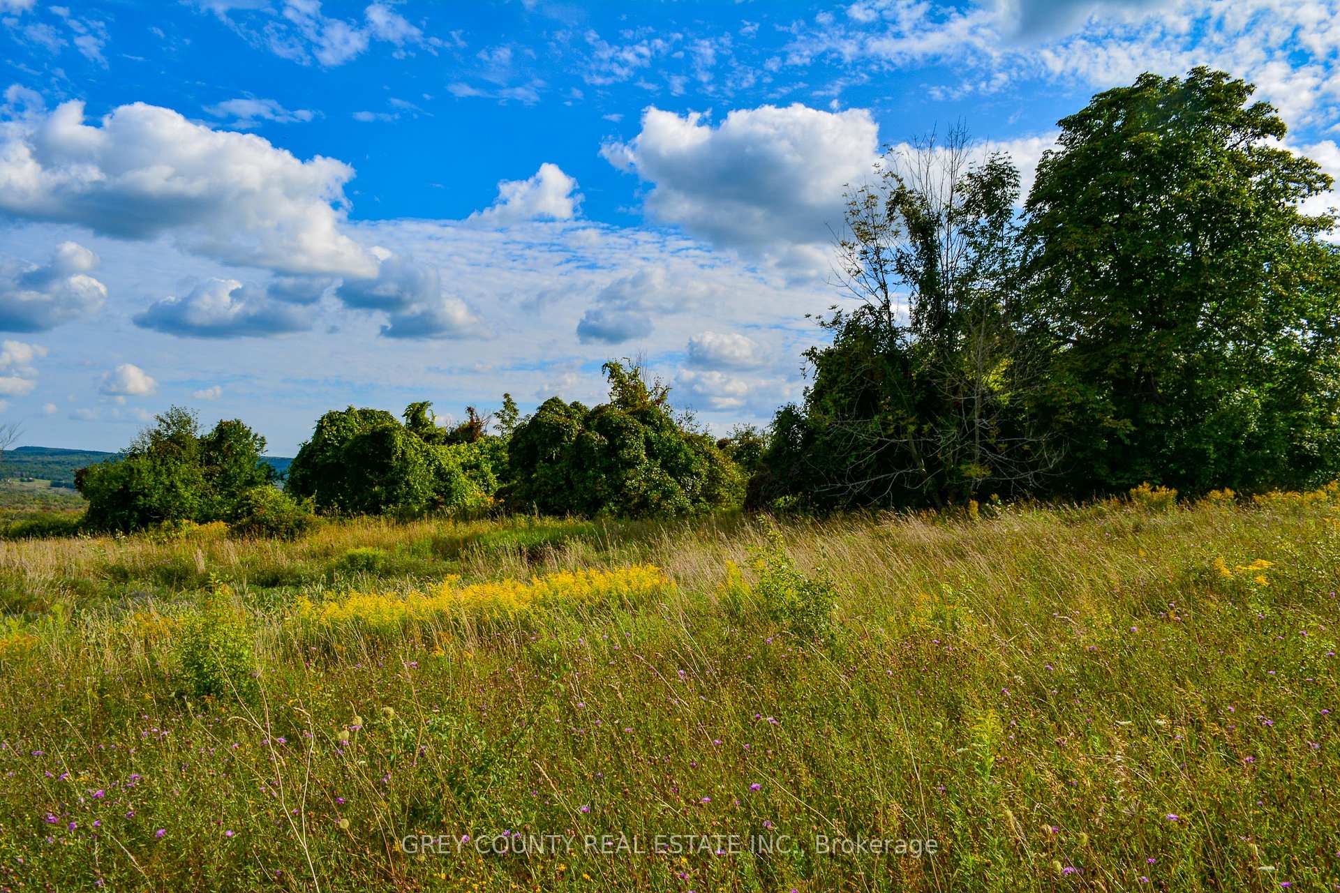 Photo 22 of Pt Lt 21 3RD Line C, Grey Highlands — HOMEH