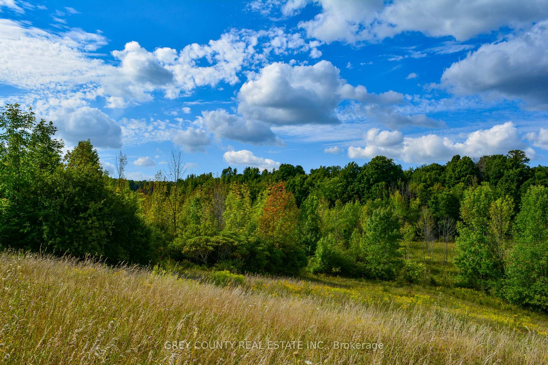 Photo 24 of Pt Lt 21 3RD Line C, Grey Highlands — HOMEH