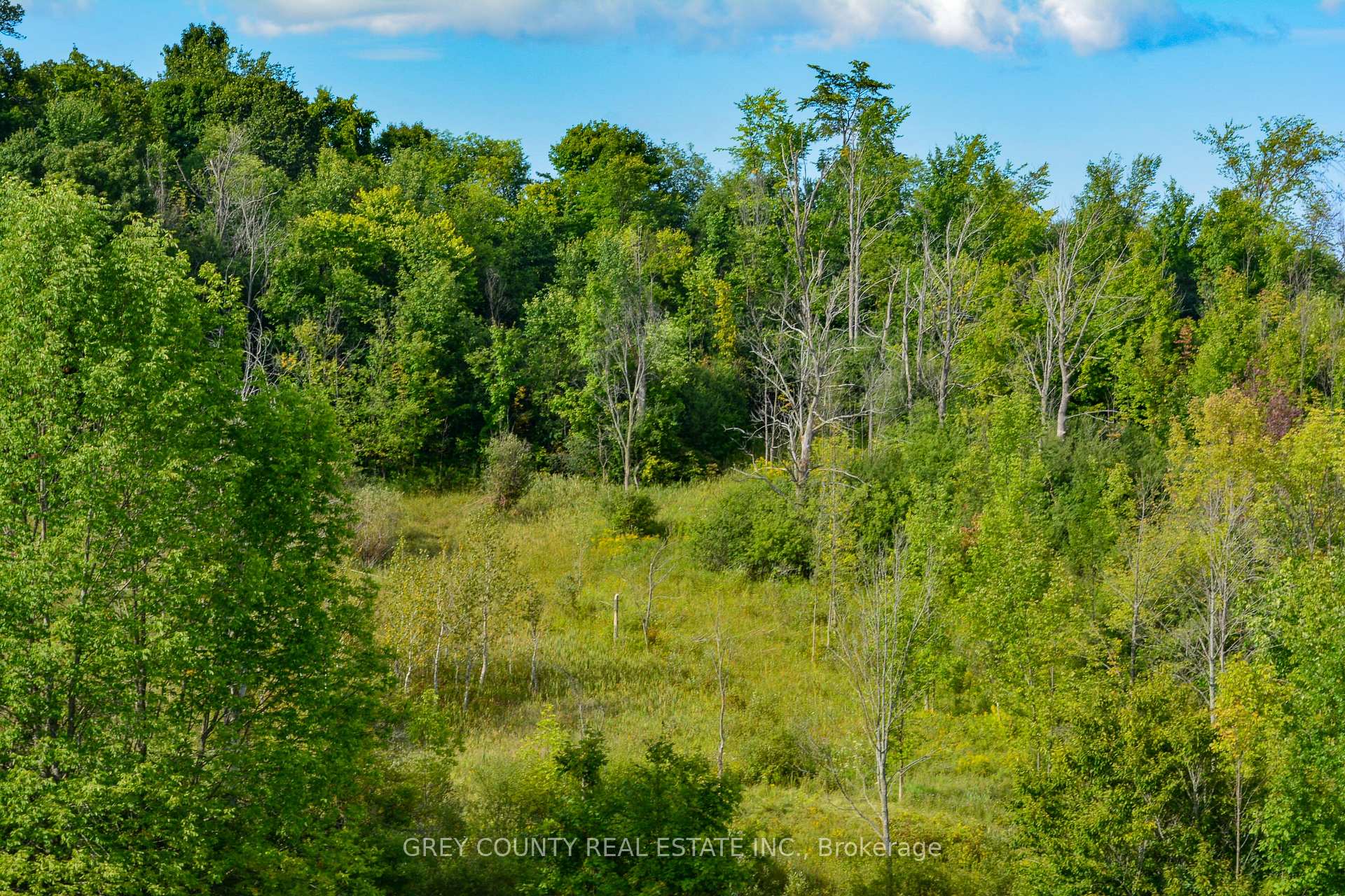 Photo 25 of Pt Lt 21 3RD Line C, Grey Highlands — HOMEH