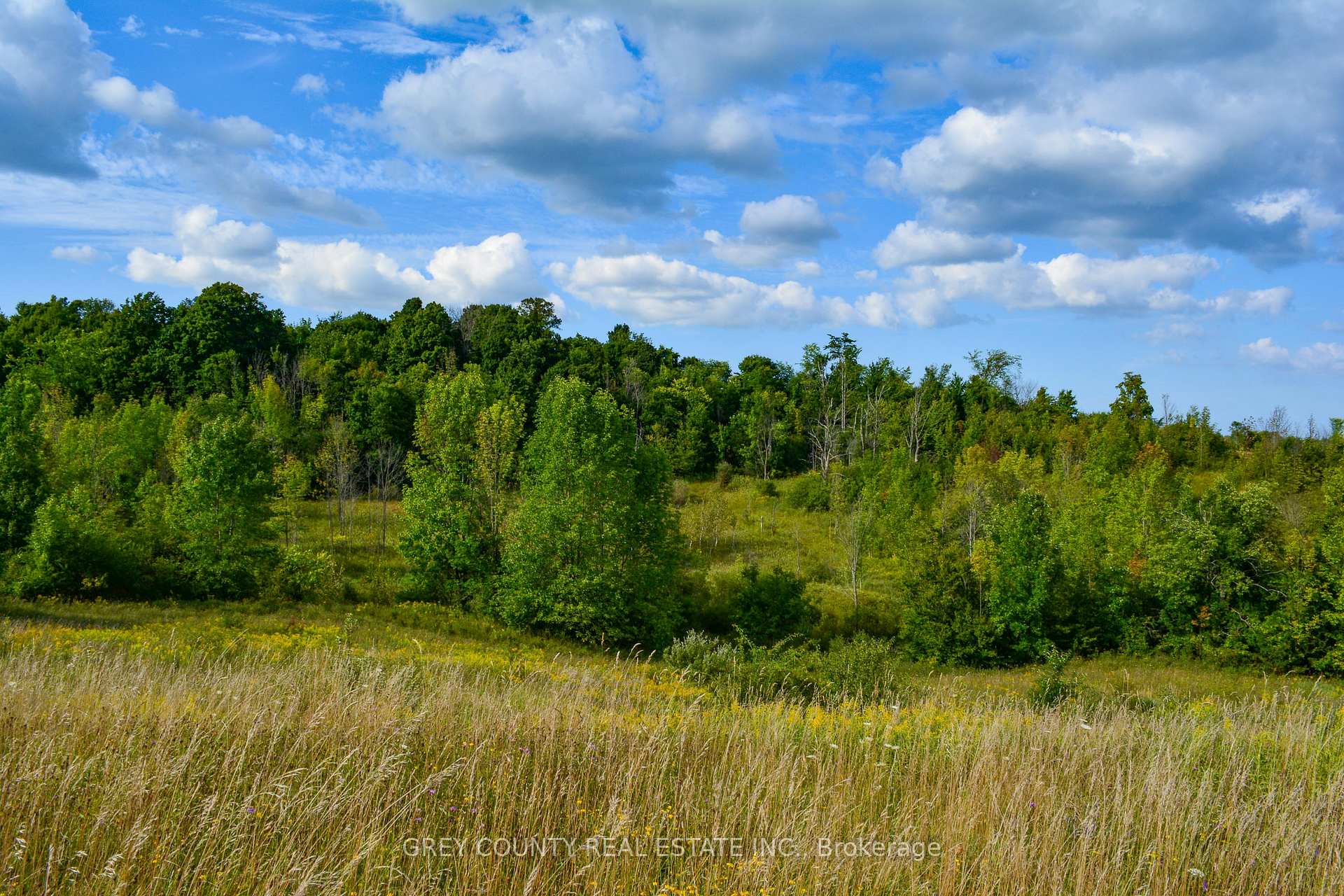 Photo 26 of Pt Lt 21 3RD Line C, Grey Highlands — HOMEH