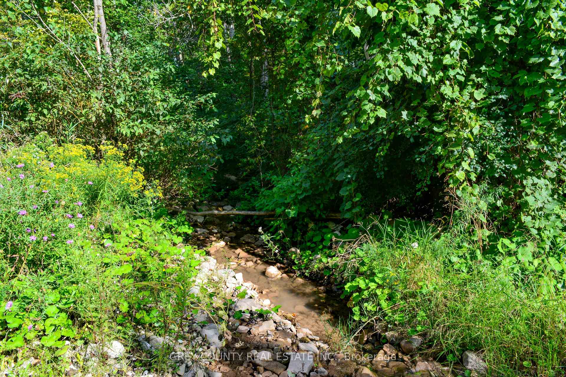 Photo 30 of Pt Lt 21 3RD Line C, Grey Highlands — HOMEH