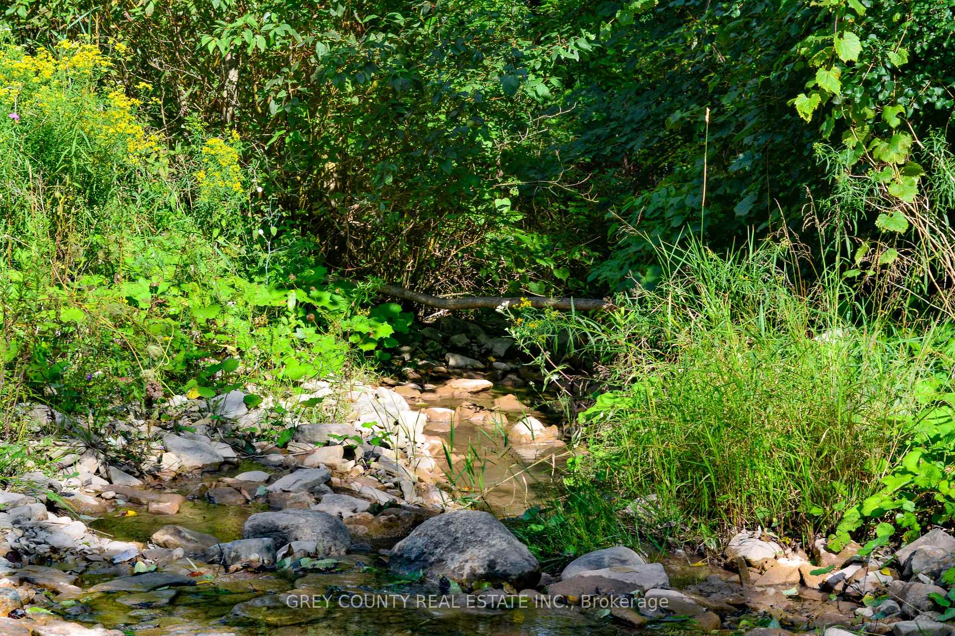 Photo 31 of Pt Lt 21 3RD Line C, Grey Highlands — HOMEH