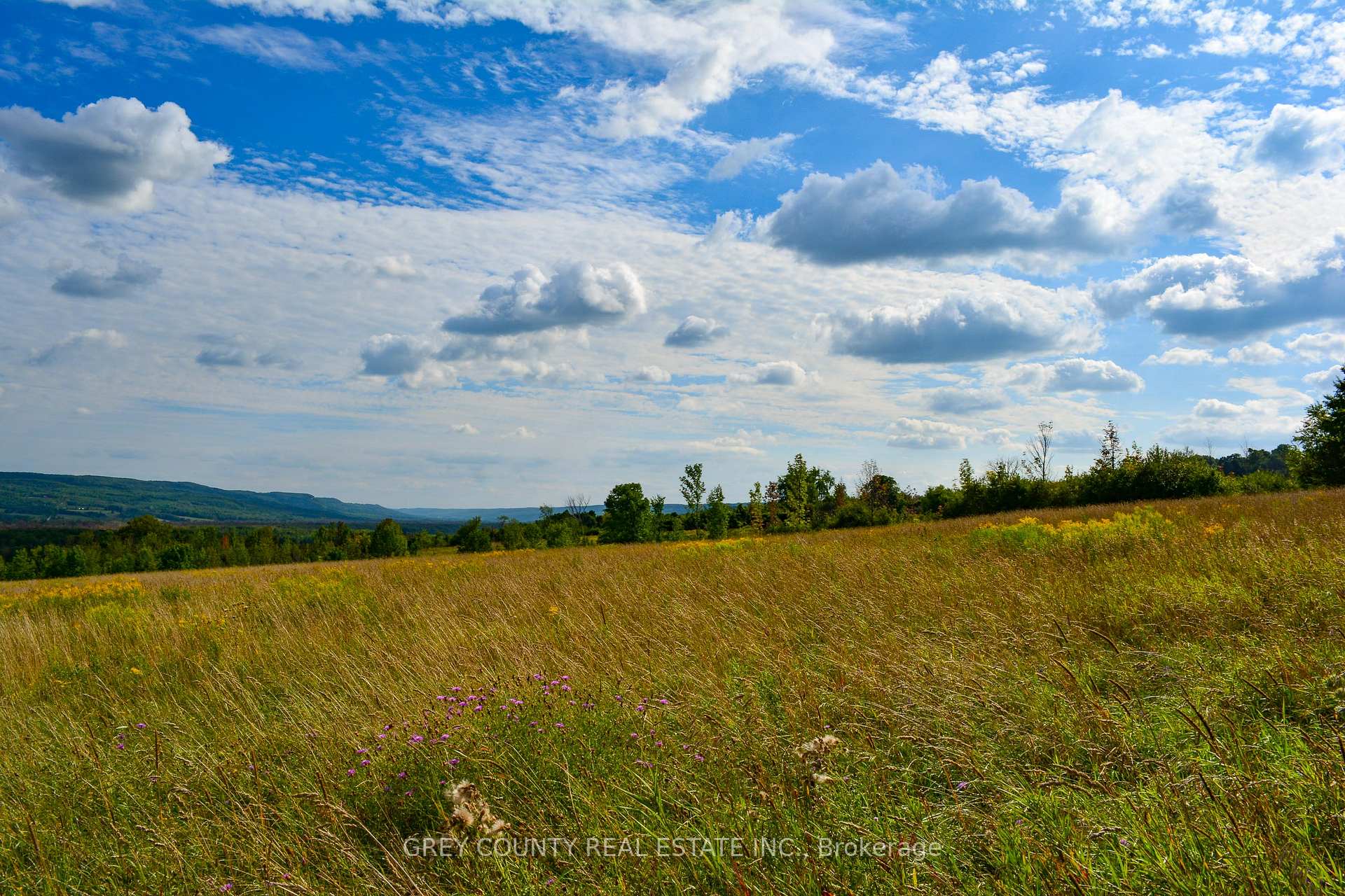 Photo 32 of Pt Lt 21 3RD Line C, Grey Highlands — HOMEH