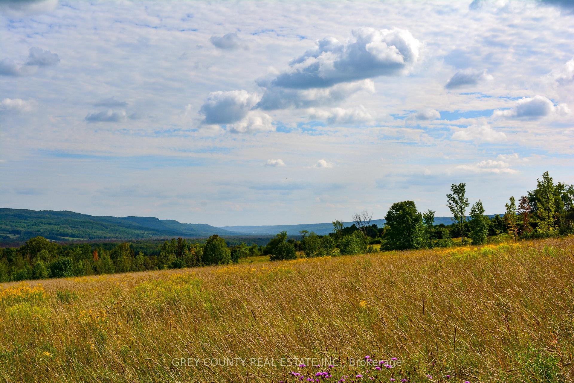 Photo 34 of Pt Lt 21 3RD Line C, Grey Highlands — HOMEH