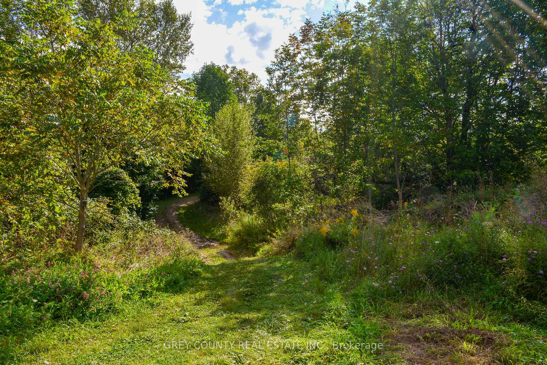 Photo 38 of Pt Lt 21 3RD Line C, Grey Highlands — HOMEH