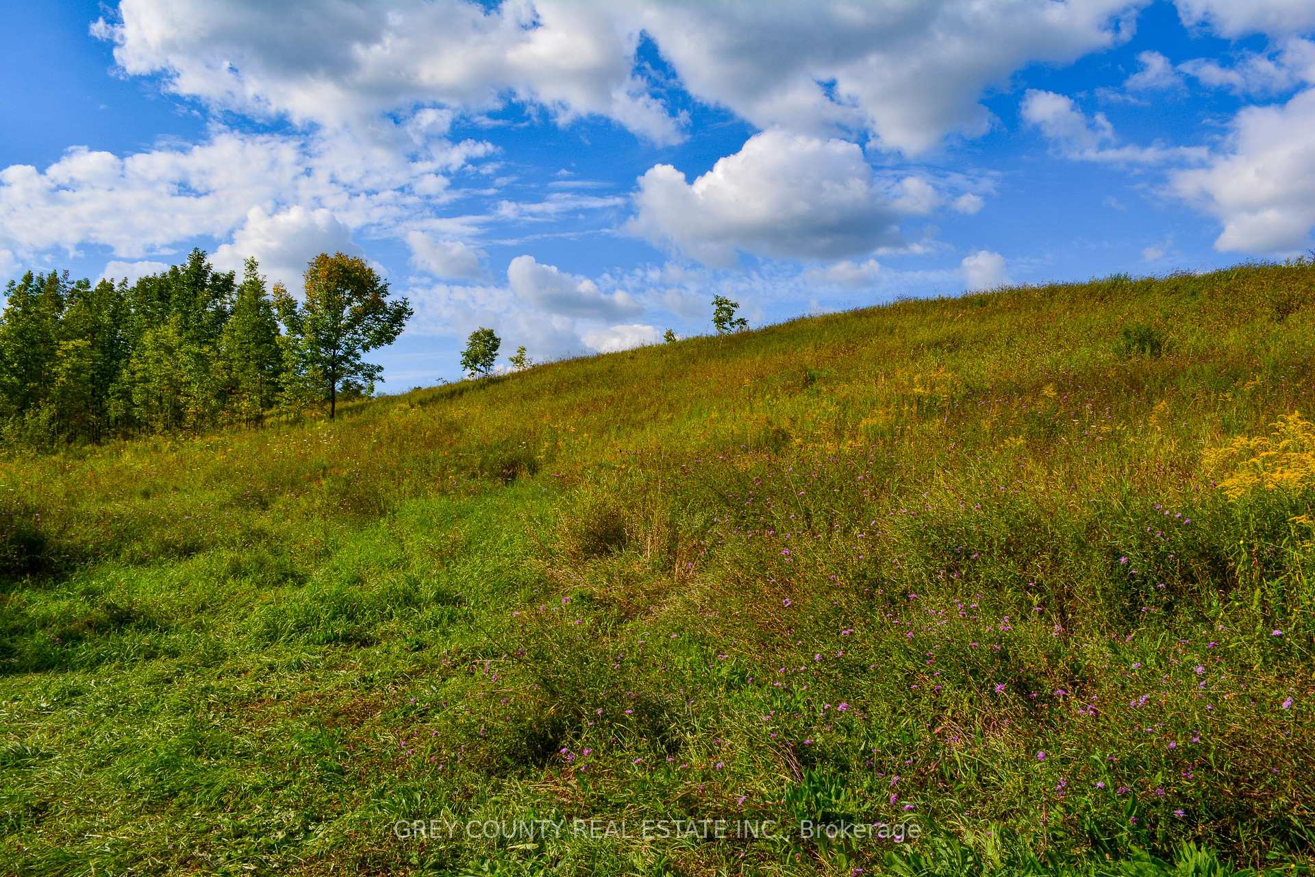 Photo 39 of Pt Lt 21 3RD Line C, Grey Highlands — HOMEH