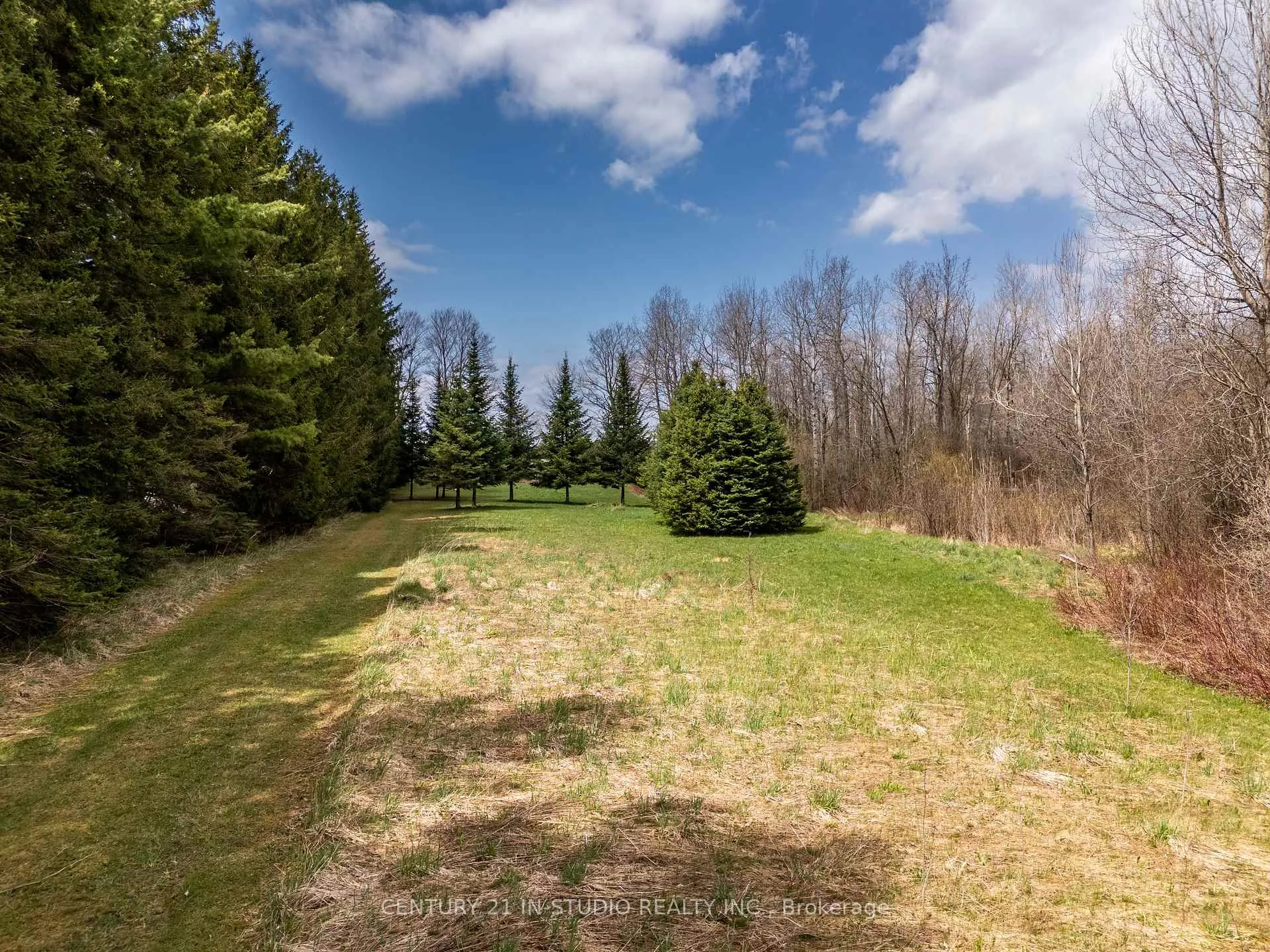 Photo 8 of PT LT Road 170, Grey Highlands — HOMEH