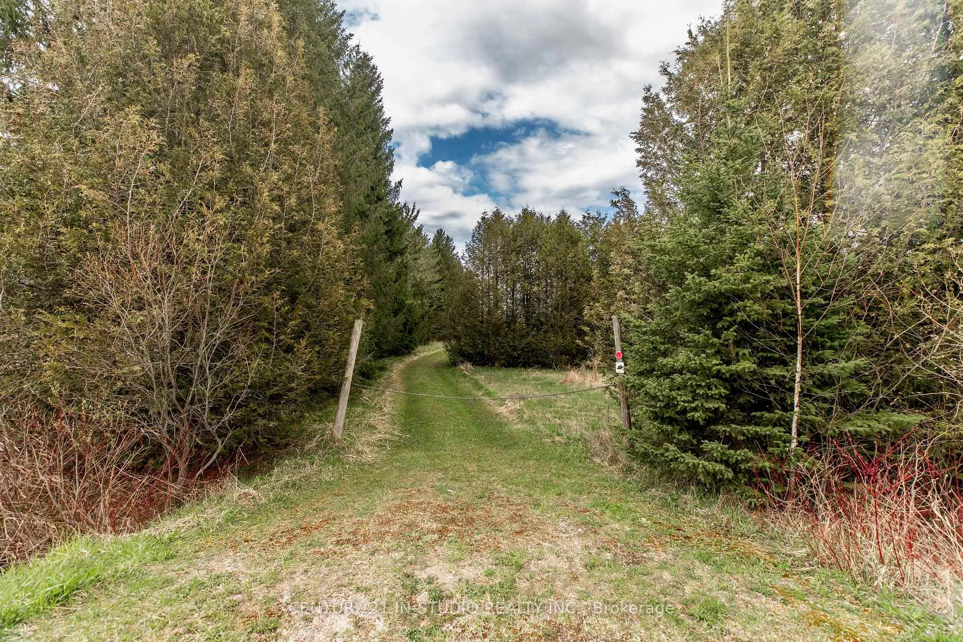 Photo 9 of PT LT Road 170, Grey Highlands — HOMEH