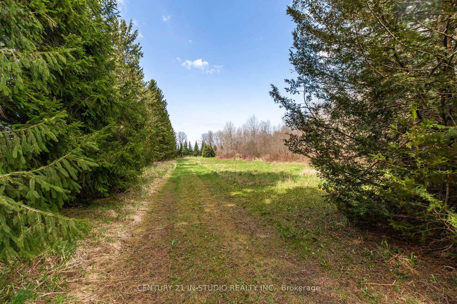 Photo 10 of PT LT Road 170, Grey Highlands — HOMEH