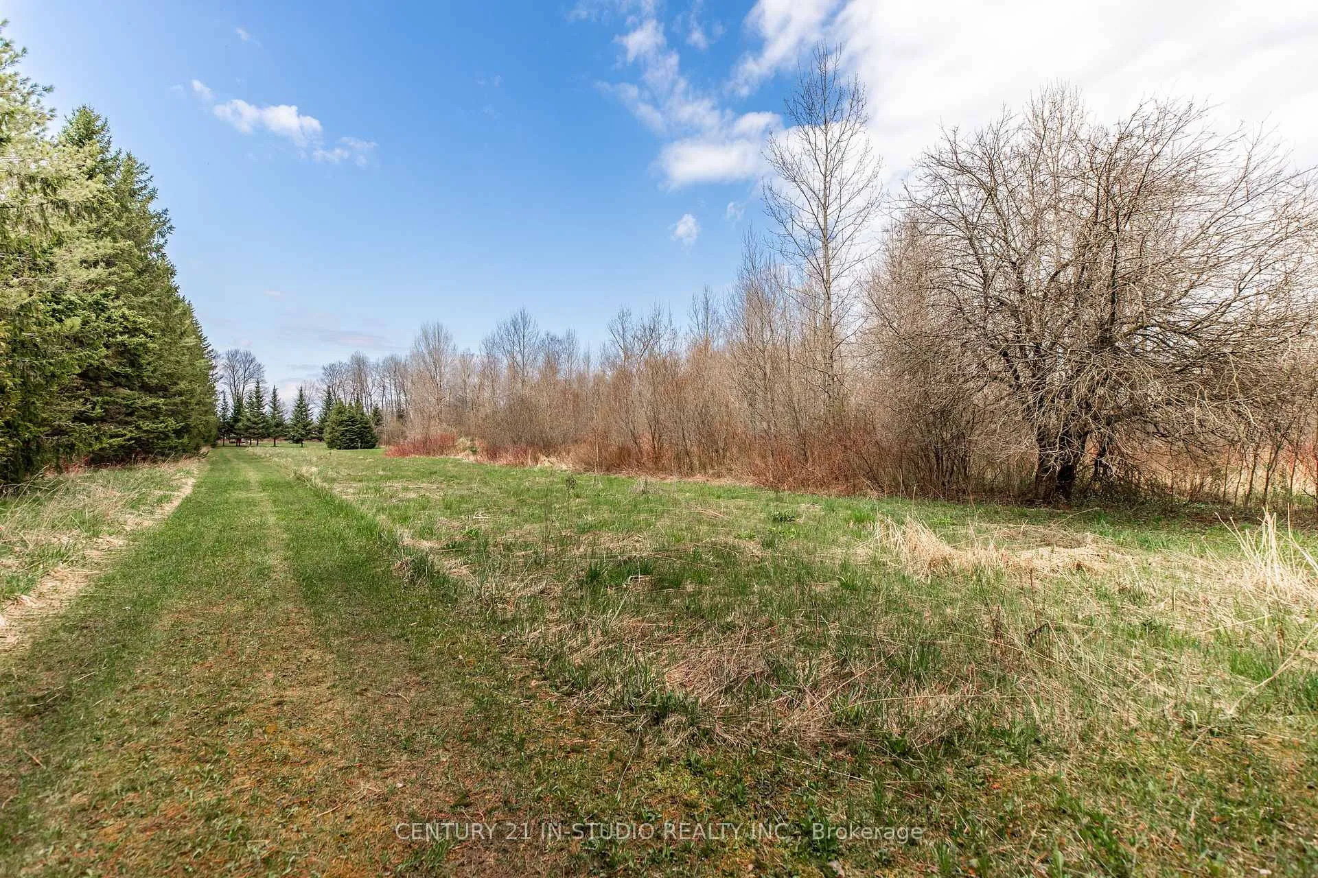 Photo 11 of PT LT Road 170, Grey Highlands — HOMEH