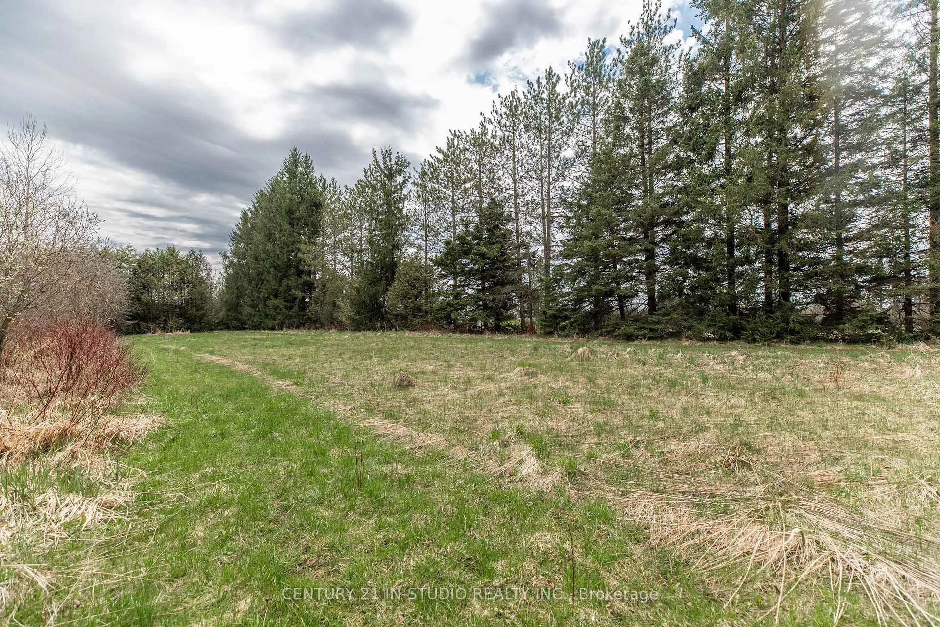 Photo 12 of PT LT Road 170, Grey Highlands — HOMEH