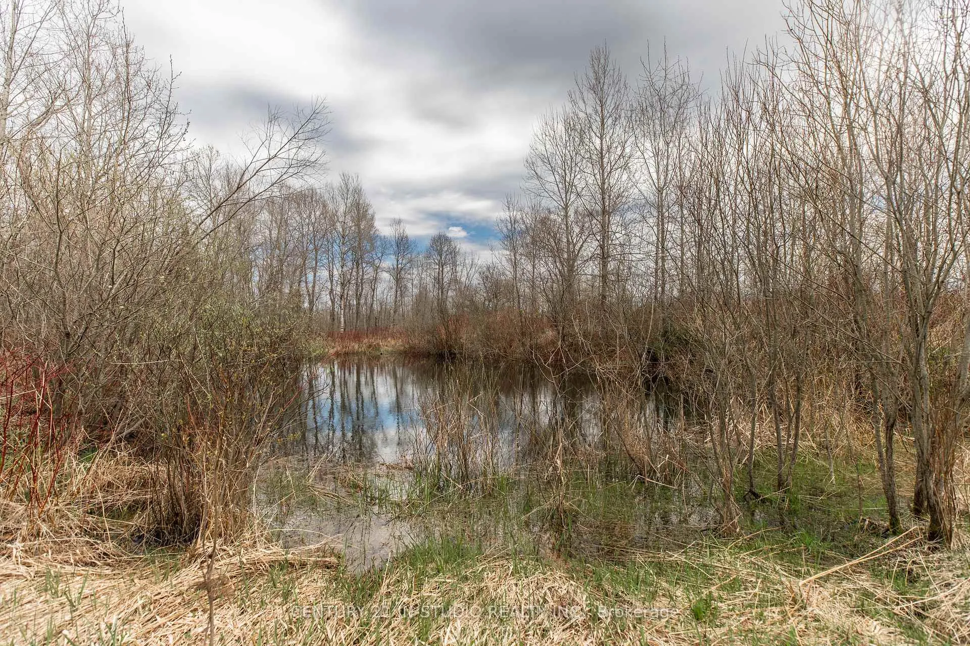 Photo 14 of PT LT Road 170, Grey Highlands — HOMEH