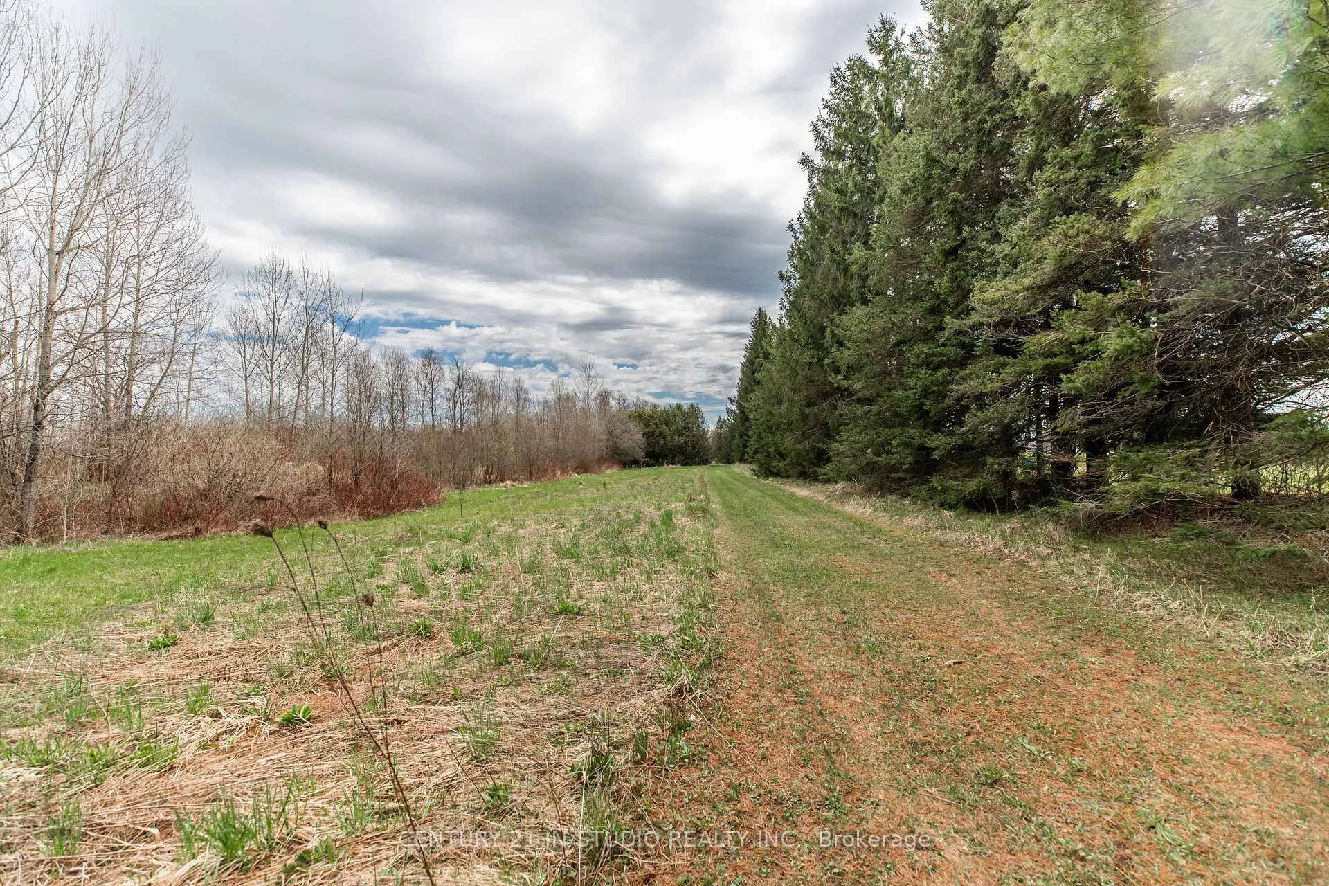 Photo 15 of PT LT Road 170, Grey Highlands — HOMEH