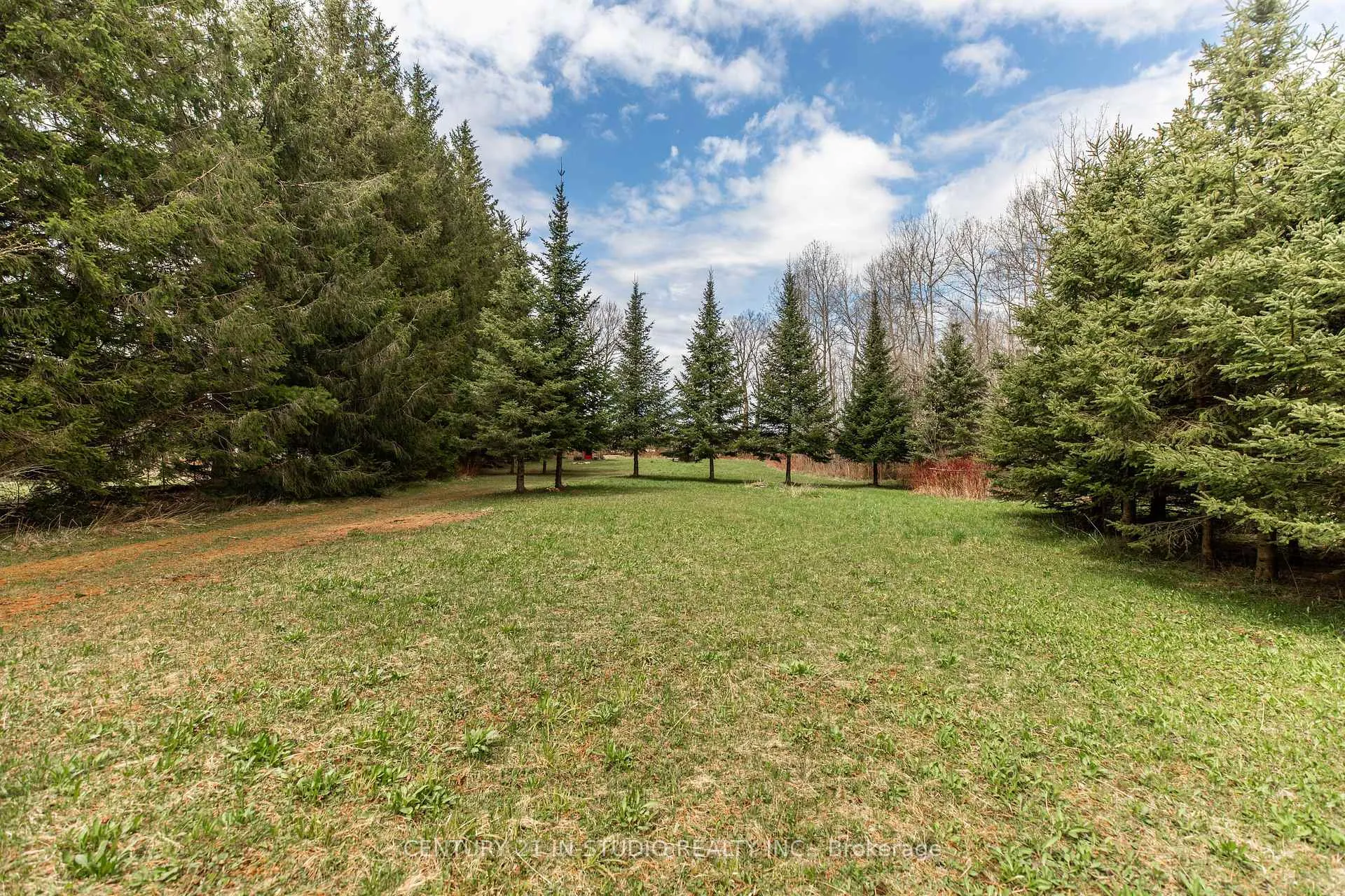 Photo 16 of PT LT Road 170, Grey Highlands — HOMEH