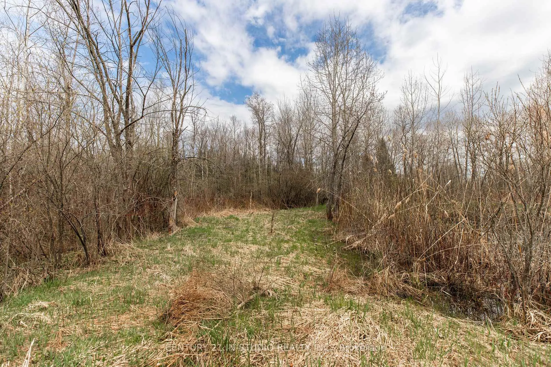 Photo 22 of PT LT Road 170, Grey Highlands — HOMEH