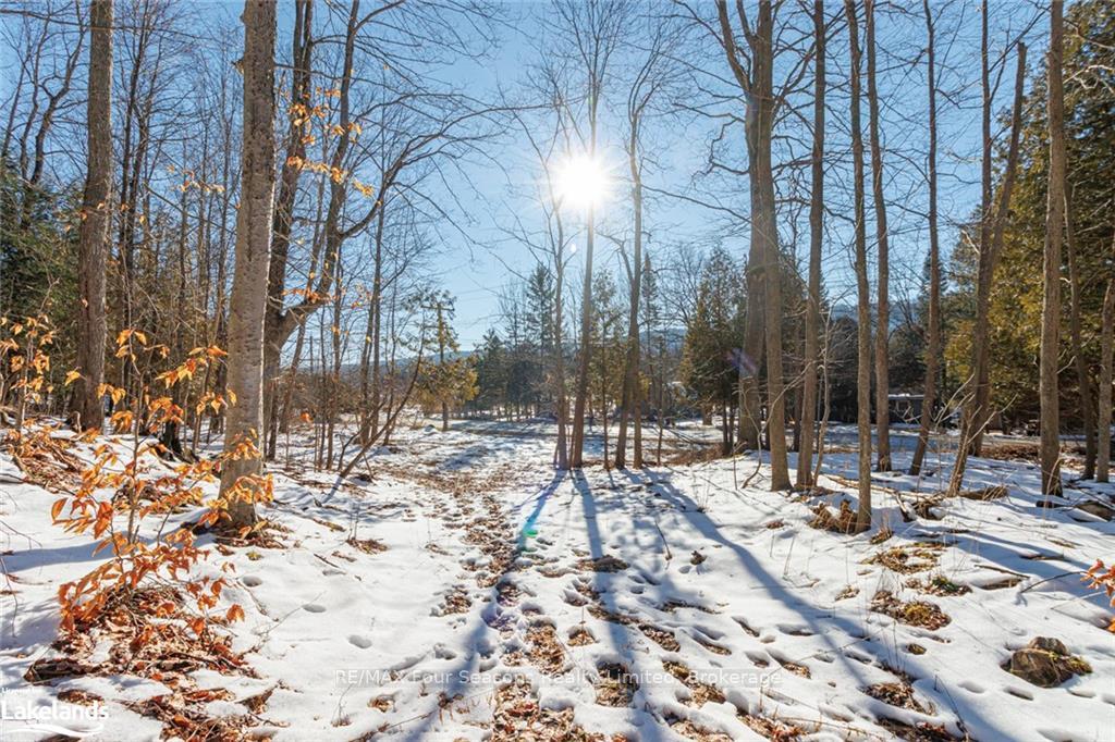 Photo 15 of PTLT 25 Grey Road 30, Grey Highlands — HOMEH