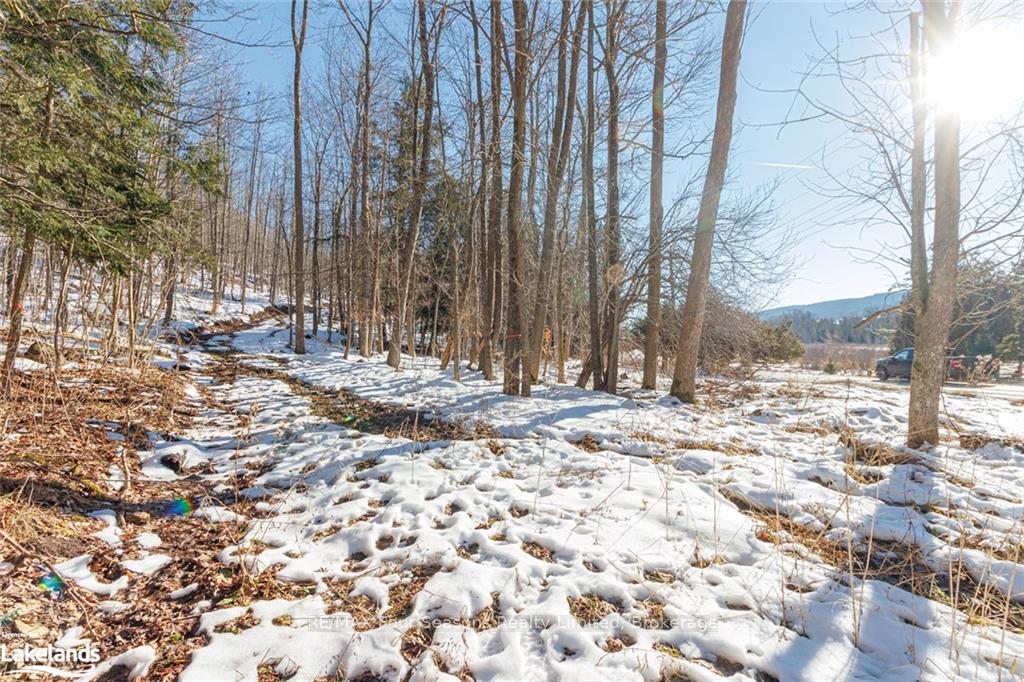 Photo 16 of PTLT 25 Grey Road 30, Grey Highlands — HOMEH