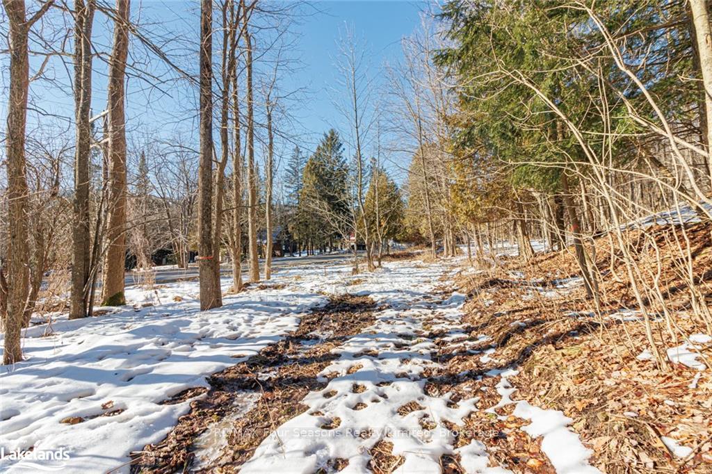 Photo 17 of PTLT 25 Grey Road 30, Grey Highlands — HOMEH