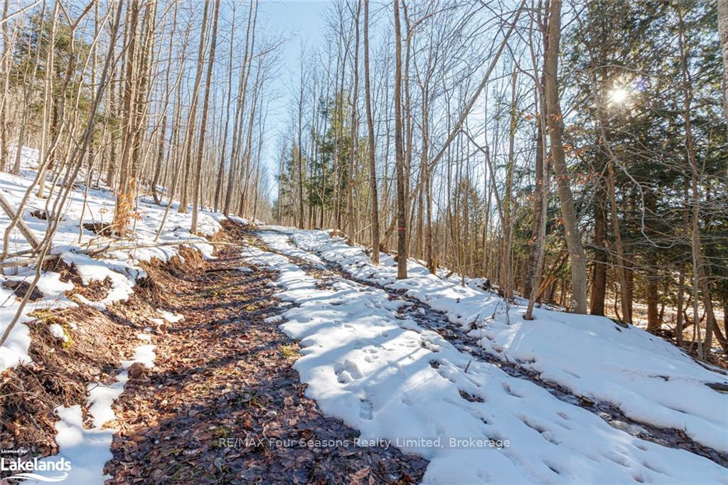 Photo 19 of PTLT 25 Grey Road 30, Grey Highlands — HOMEH