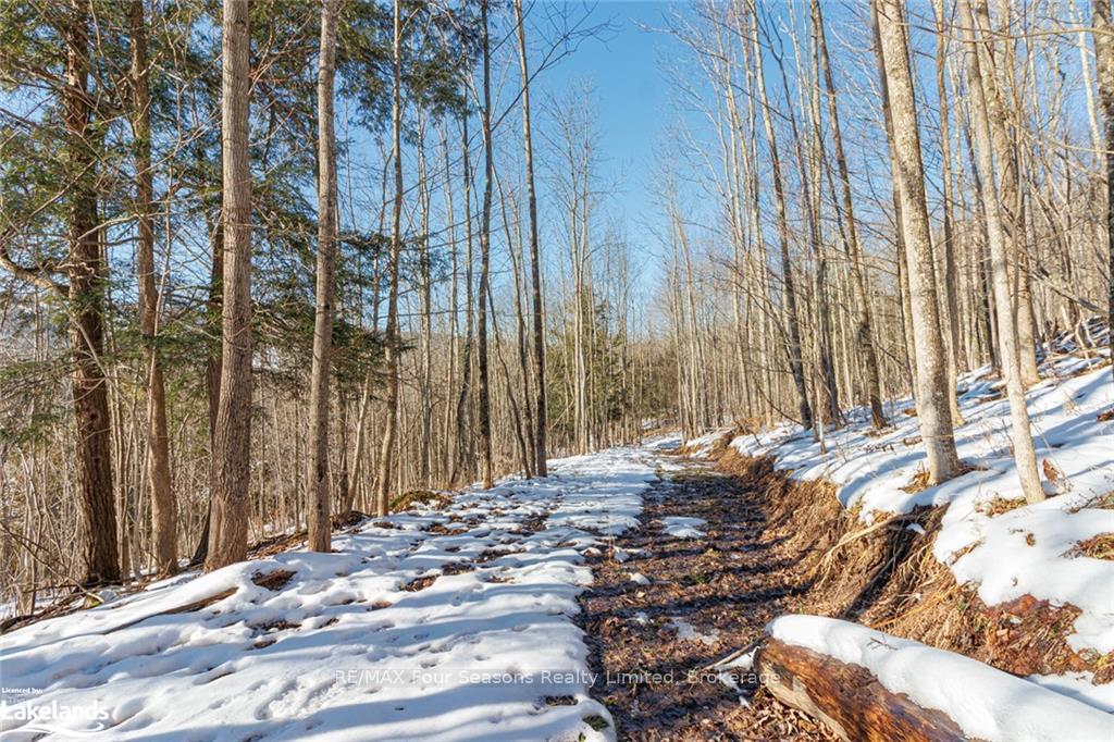 Photo 20 of PTLT 25 Grey Road 30, Grey Highlands — HOMEH