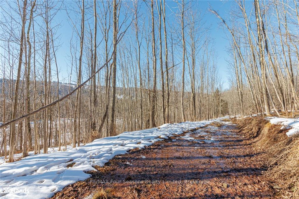 Photo 21 of PTLT 25 Grey Road 30, Grey Highlands — HOMEH