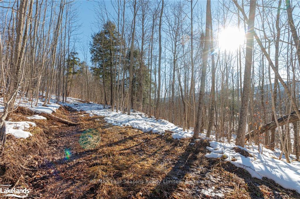 Photo 22 of PTLT 25 Grey Road 30, Grey Highlands — HOMEH