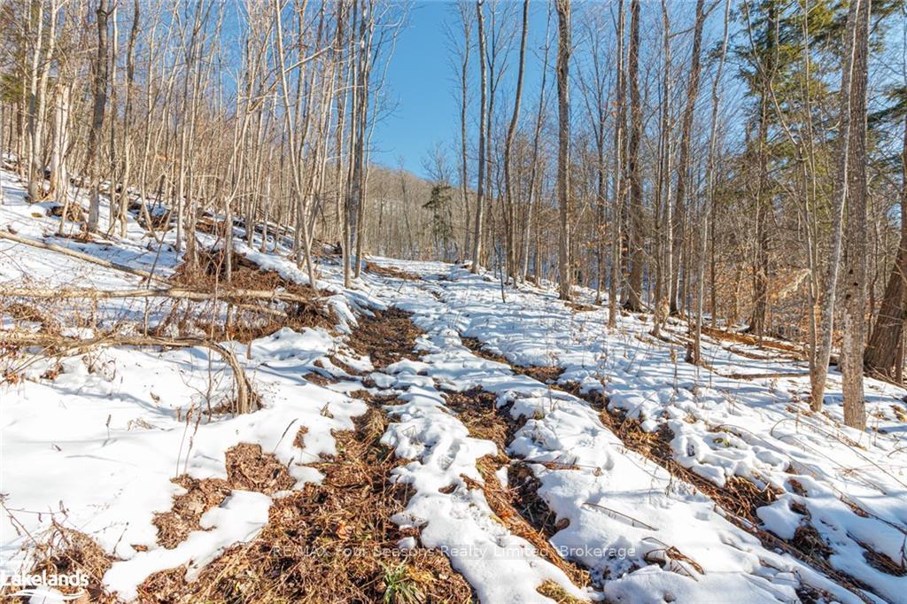 Photo 23 of PTLT 25 Grey Road 30, Grey Highlands — HOMEH