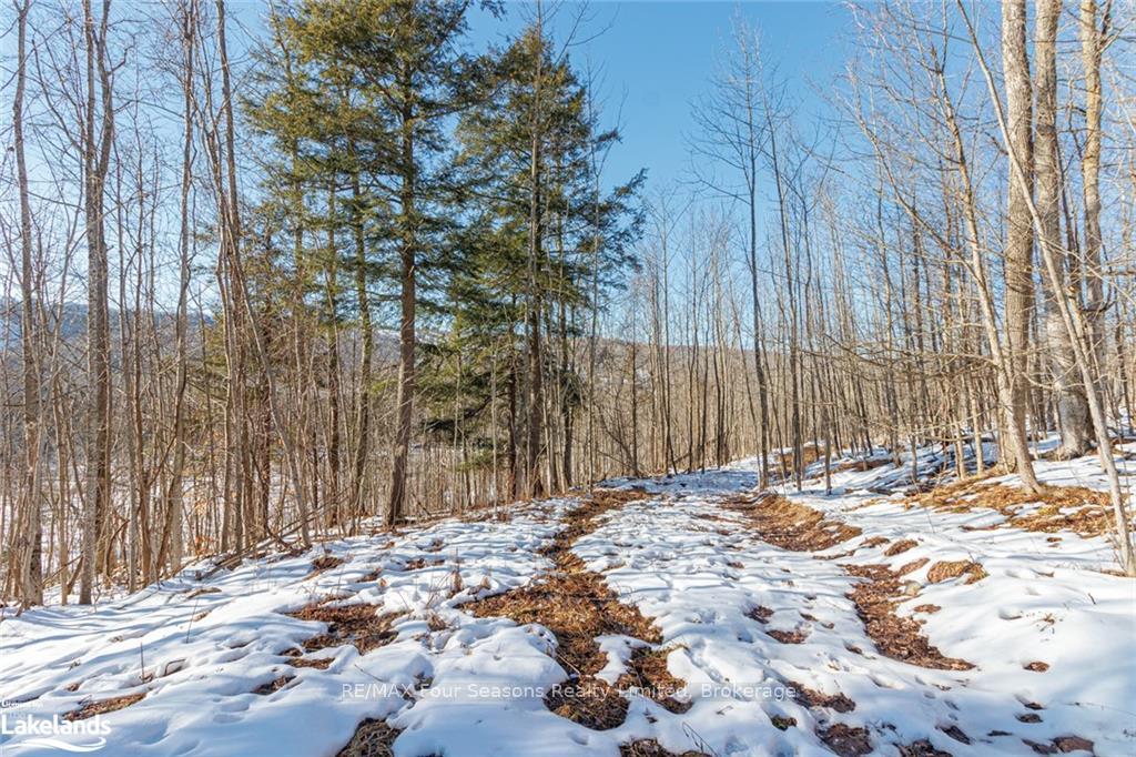 Photo 24 of PTLT 25 Grey Road 30, Grey Highlands — HOMEH