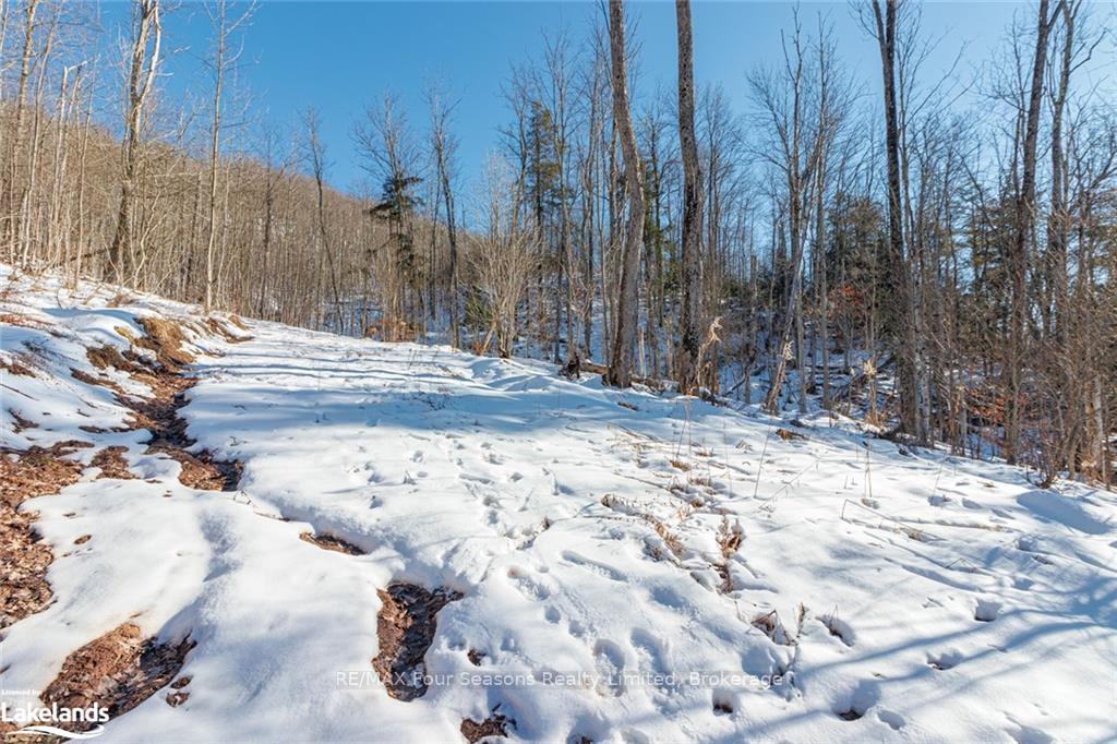 Photo 25 of PTLT 25 Grey Road 30, Grey Highlands — HOMEH