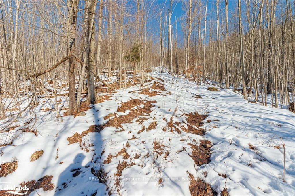 Photo 26 of PTLT 25 Grey Road 30, Grey Highlands — HOMEH