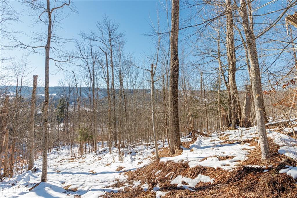 Photo 27 of PTLT 25 Grey Road 30, Grey Highlands — HOMEH