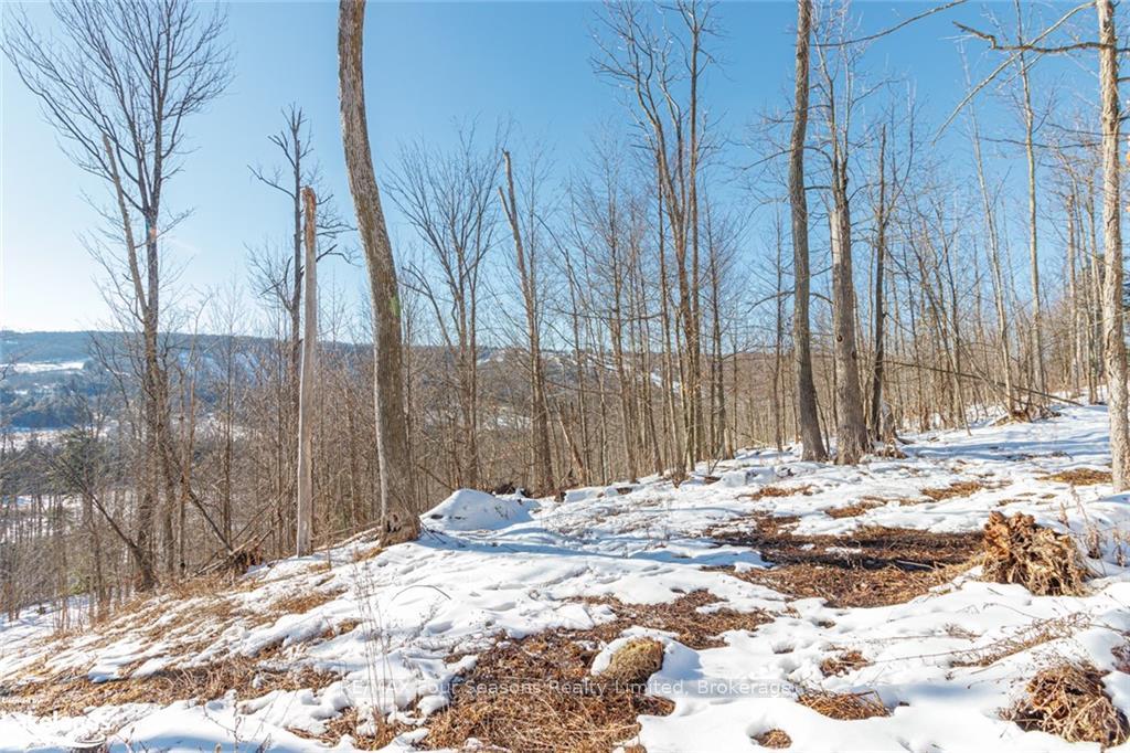 Photo 28 of PTLT 25 Grey Road 30, Grey Highlands — HOMEH