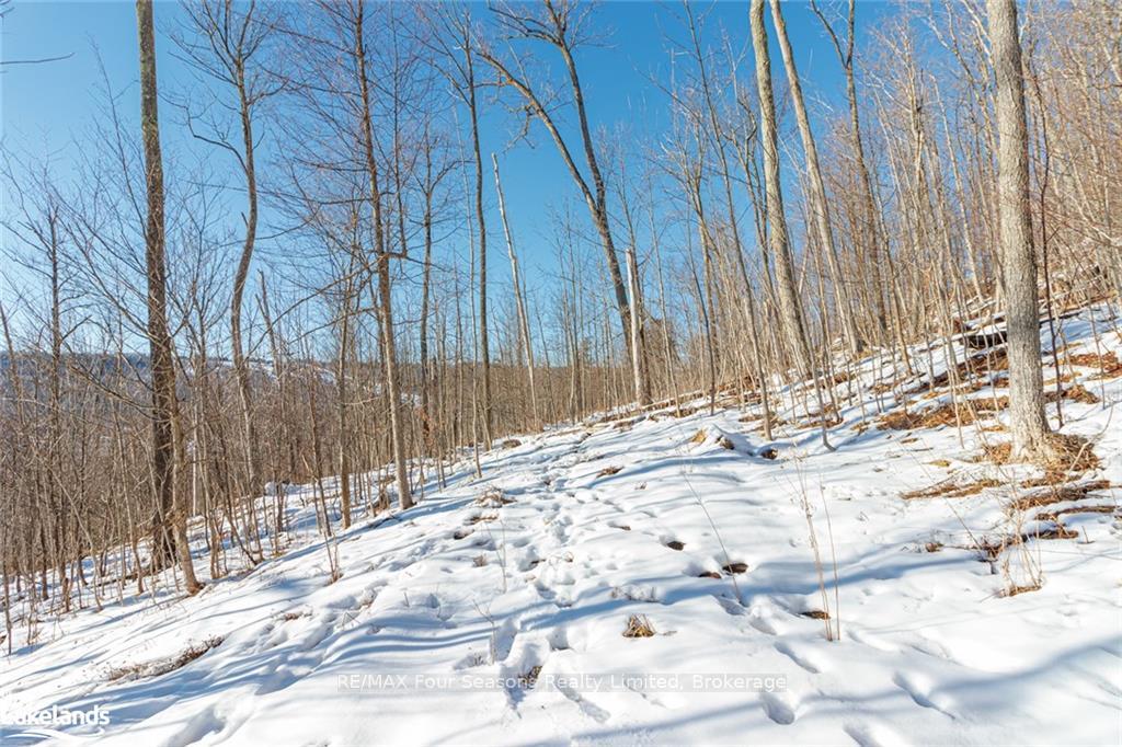 Photo 29 of PTLT 25 Grey Road 30, Grey Highlands — HOMEH